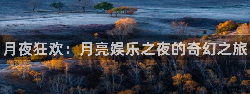 月夜狂欢：月亮娱乐之夜的奇幻之旅