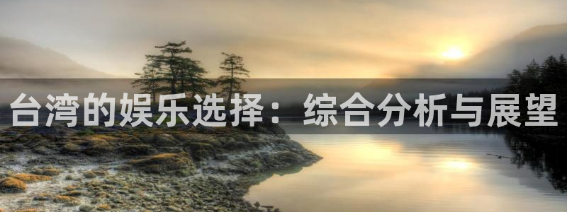 台湾的娱乐选择：综合分析与展望