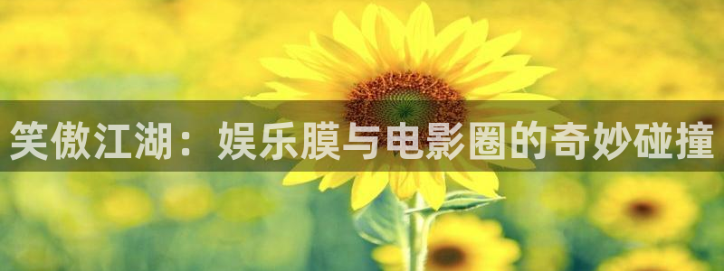 笑傲江湖：娱乐膜与电影圈的奇妙碰撞