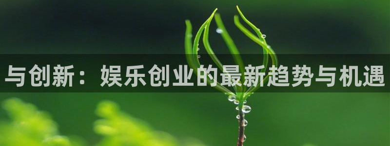 与创新：娱乐创业的最新趋势与机遇